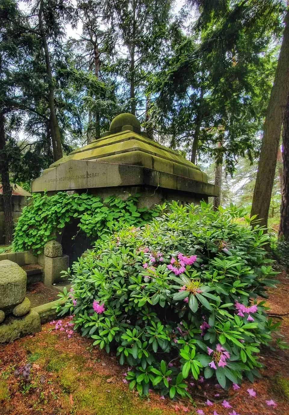 Stengravkammare med mossbelagd pyramidform, klätterväxter och blommande rhododendron. Träd i bakgrunden
