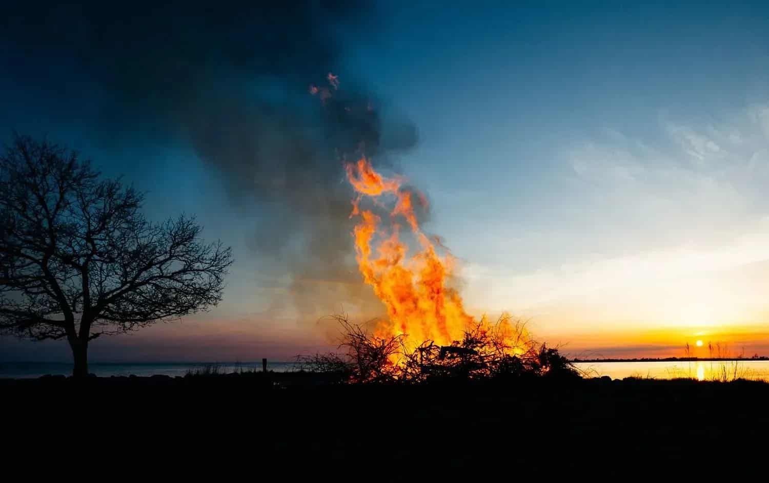 Eld med rök, siluett av träd och strand vid solnedgång